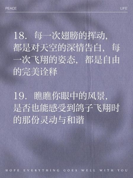 怎么样地飞_如何优雅地起飞-第2张图片-俊逸知识馆