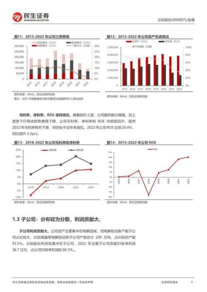 云铝股份股票值得长期持有吗_云铝股份未来走势如何-第1张图片-俊逸知识馆 云铝股份股票值得长期持有吗_云铝股份未来走势如何-第1张图片-俊逸知识馆