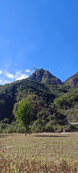 北京平谷未来15天天气怎么样_平谷穿衣指南-第3张图片-俊逸知识馆