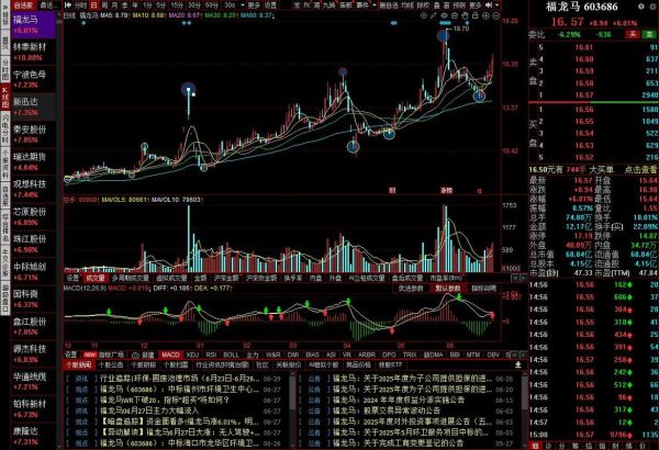 福龙马股票值得长期持有吗_福龙马股票未来走势如何-第1张图片-俊逸知识馆