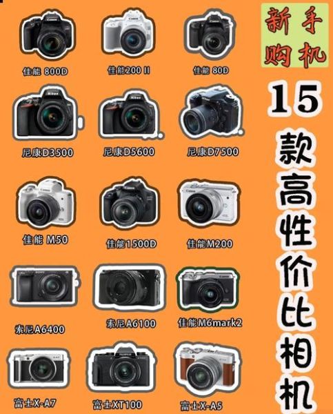 数码相机怎么选_新手入门买哪款-第1张图片-俊逸知识馆