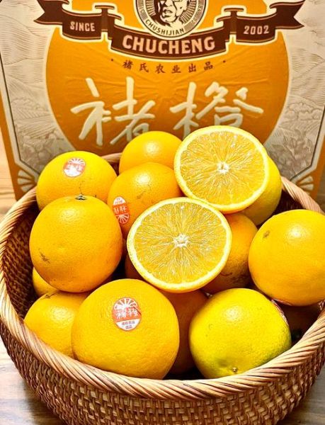 褚橙好吃吗_褚橙为什么那么贵-第1张图片-俊逸知识馆